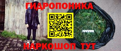 каннабис Кингисепп