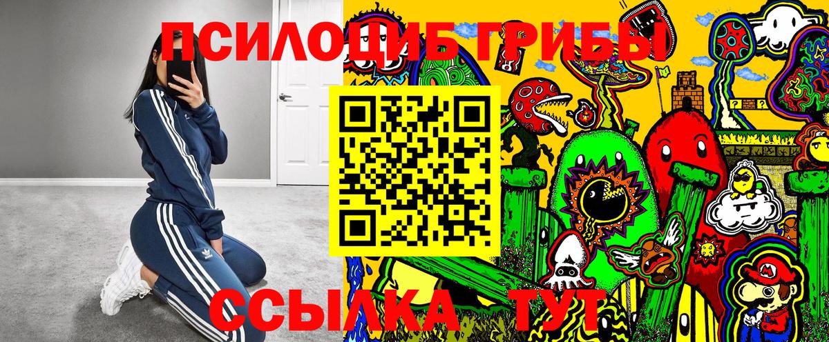Галлюциногенные грибы Psilocybe Домодедово