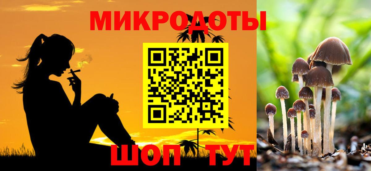 Псилоцибиновые грибы Psilocybe  Вход с VPN  Домодедово 